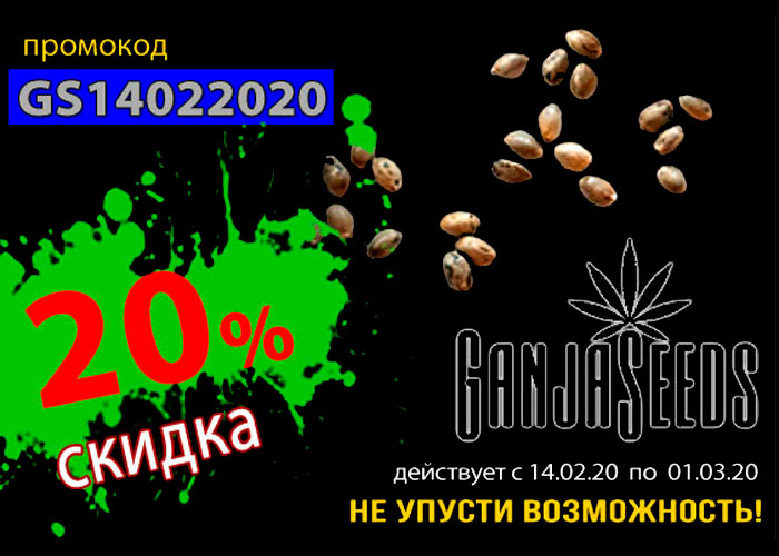 GanjaSeeds: В день всех влюбленных скидка 20%
