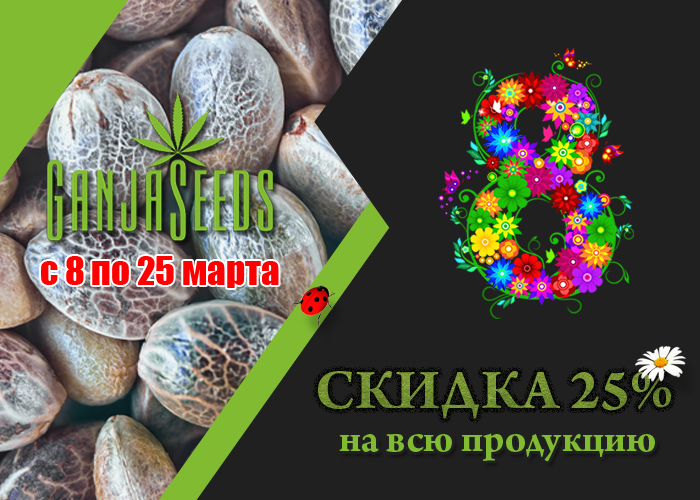 Весенние скидки на семена конопли 25%