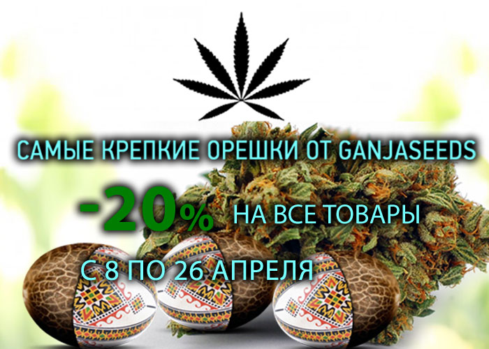 известные бридеры и семена конопли недорого