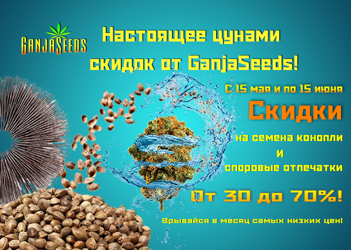 Скидки на семена конопли