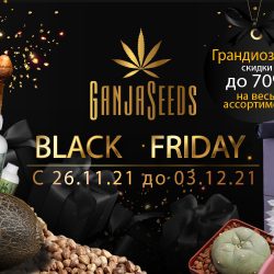 Черная Пятница в GanjaSeeds: невероятные скидки на весь ассортимент!