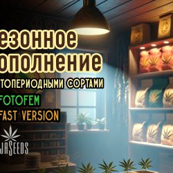 Сезонное пополнение фотопериодными сортами!