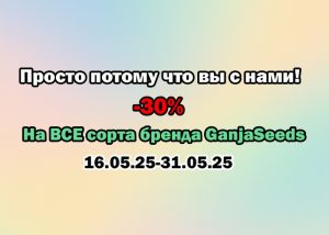 -30% на все сорта GanjaSeeds — просто потому что вы с нами!